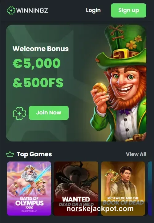 Winningz Casino bonus og kampanjer