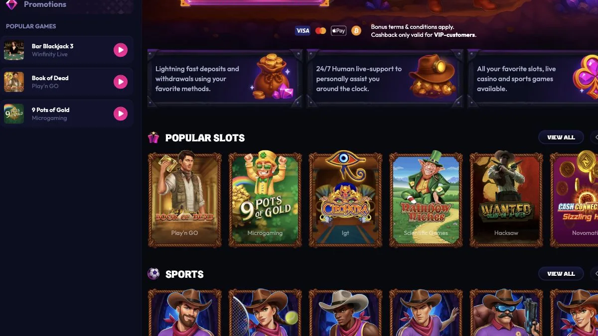 Wildzy forside i NorskeJackpot-testen